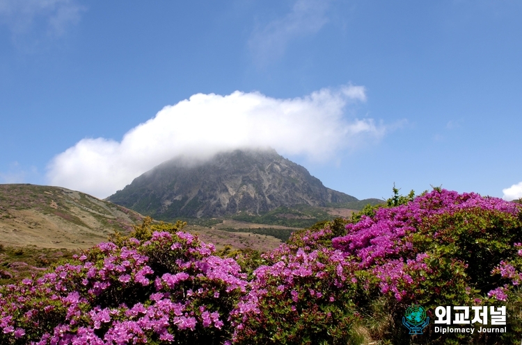  제주도 한라산의 사계 