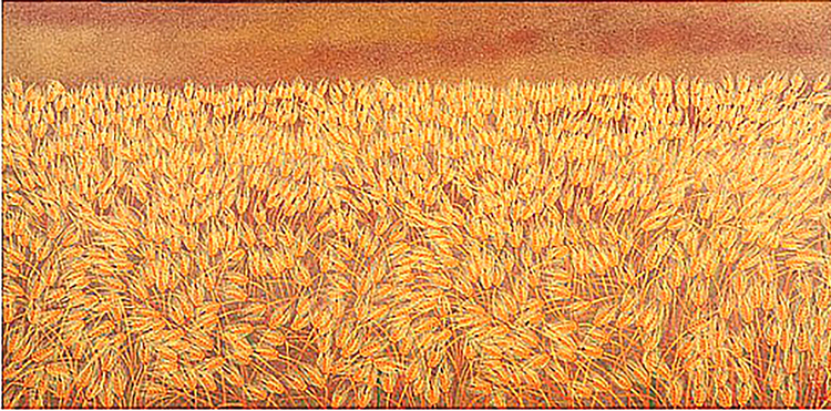  Barley field