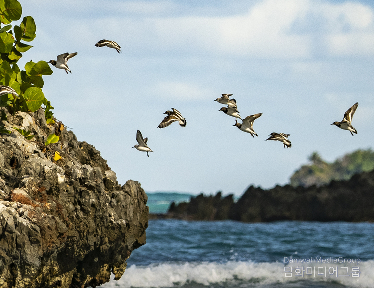  Our biodiversity is second to none, with 7,000 endemic species preserved in 51 natural parks and aquatic reserves. / Courtesy of Federico Alberto Cuello Camilo