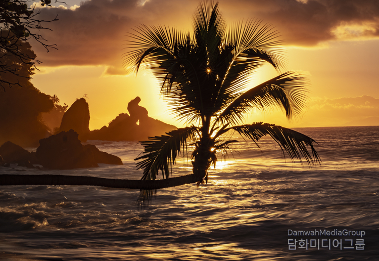  Nature bows to Samana bay, the birthplace every year in February of most baby whales of the North Atlantic. / Courtesy of Federico Alberto Cuello Camilo