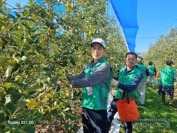 서울시 종로구새마을회 박내춘 회장이 사과나무를 손질하고 있다. (사진-종로구 새마을회 제공)