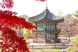 [담화총사 칼럼] 가을, 경복궁 향원정에서 만난 한국의 정수精髓