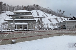 제81회 식목일 기념, 청주 벽사초불정사 ‘대규모 나무심기·문화외교 행사’ 개최