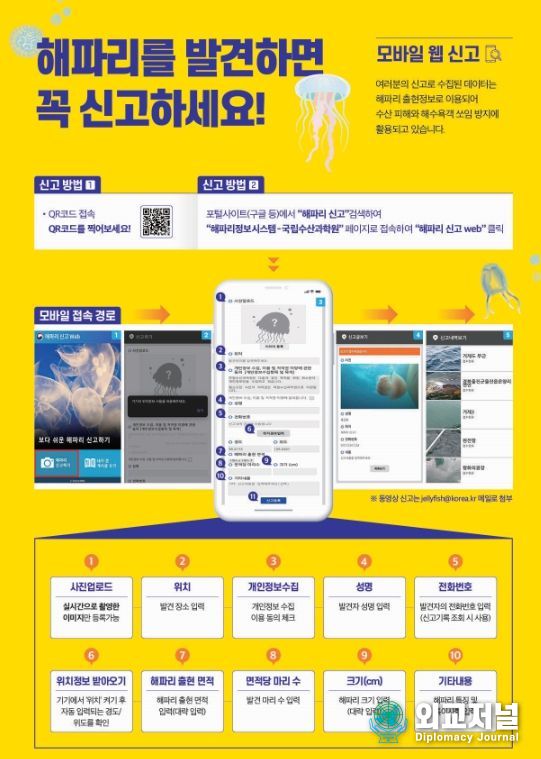 해파리 주의단계 특보 발령
